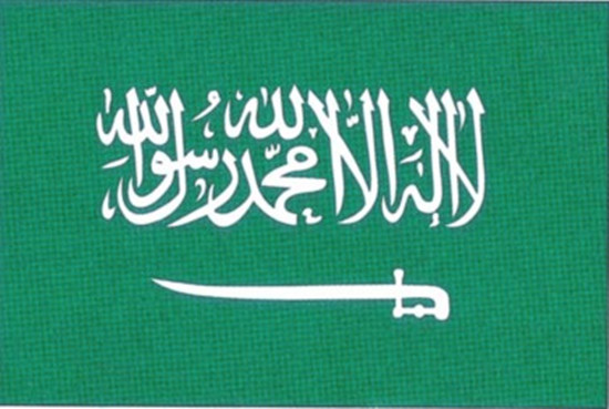 沙特阿拉伯將推出太陽能電力幣