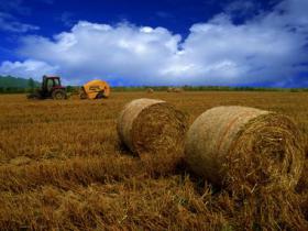 安徽蚌埠市五河生物質(zhì)熱電1號(hào)機(jī)組并網(wǎng)發(fā)電
