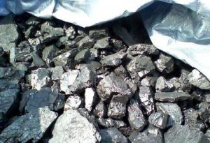 煤炭協(xié)會(huì)梁嘉琨：煤炭利用原料和燃料并重格局正形成