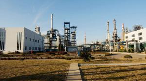 中國(guó)能建浙江火電承建的舟山石化工程7臺(tái)機(jī)組全部開(kāi)工