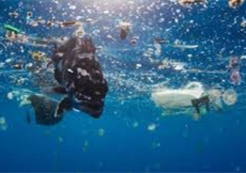 阿曼將禁止所有超市使用塑料袋