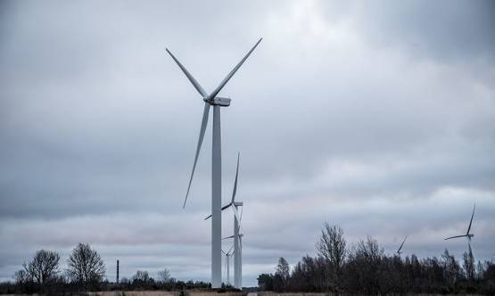 強(qiáng)風(fēng)使愛沙尼亞風(fēng)電場(chǎng)滿負(fù)荷運(yùn)轉(zhuǎn)，電力市場(chǎng)價(jià)格也受影響