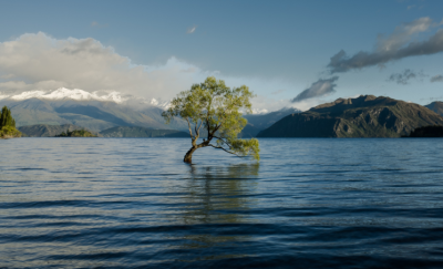 23個國家簽署承諾，加強氣候變化行動