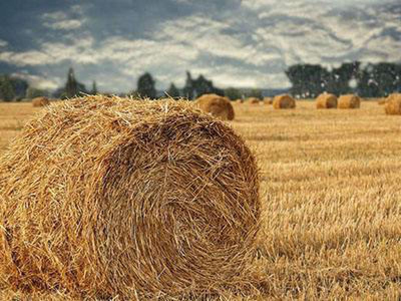 2.1噸秸稈可生成1噸初級生物液體燃料