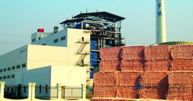 郭云高：失去“電價補(bǔ)貼” 生物質(zhì)和燃煤耦合生物質(zhì)發(fā)電該如何發(fā)展？