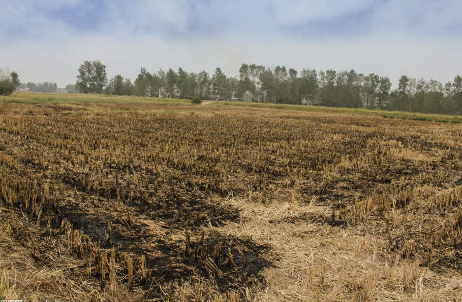 未來三年哈爾濱將大力推進秸稈綜合利用