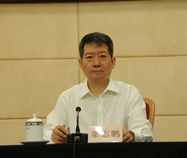 梁志鵬:可再生能源發(fā)電規(guī)模持續(xù)擴大 風(fēng)電和光伏發(fā)電消納形勢持續(xù)好轉(zhuǎn)