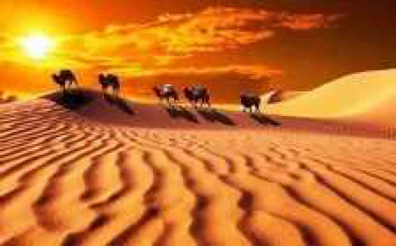 第73屆聯合國大會主席稱將繼續支持“一帶一路”倡議