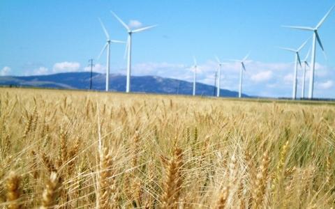 立陶宛政府將考慮新的可再生能源發展模式