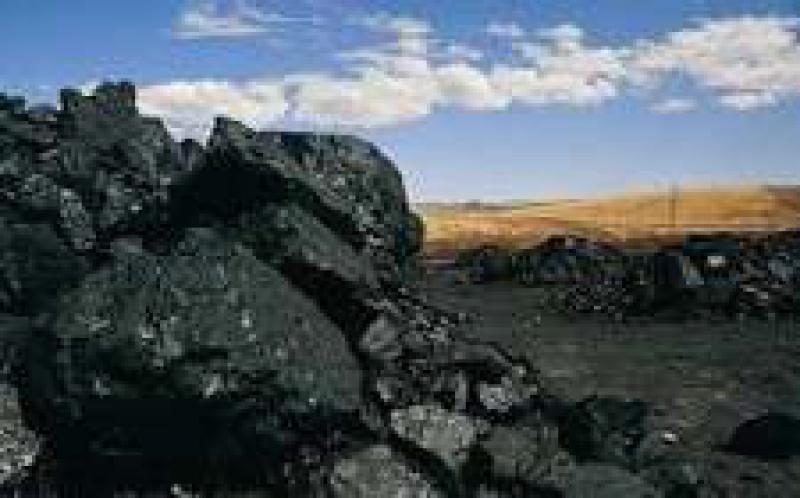 中國(guó)科學(xué)報(bào)：新技術(shù)助力煤炭變身清潔能源