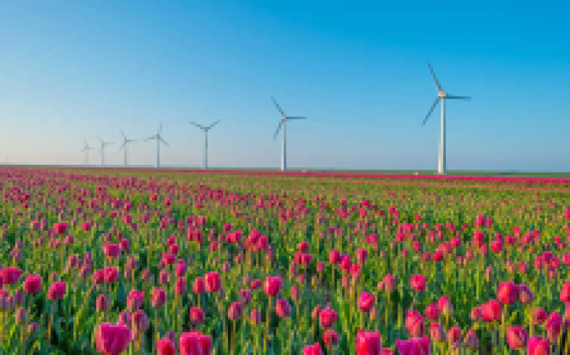 維斯塔斯通過(guò)ECN為Wieringermeer風(fēng)測(cè)試站點(diǎn)確保訂單