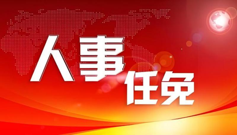 南方電網領導層調整