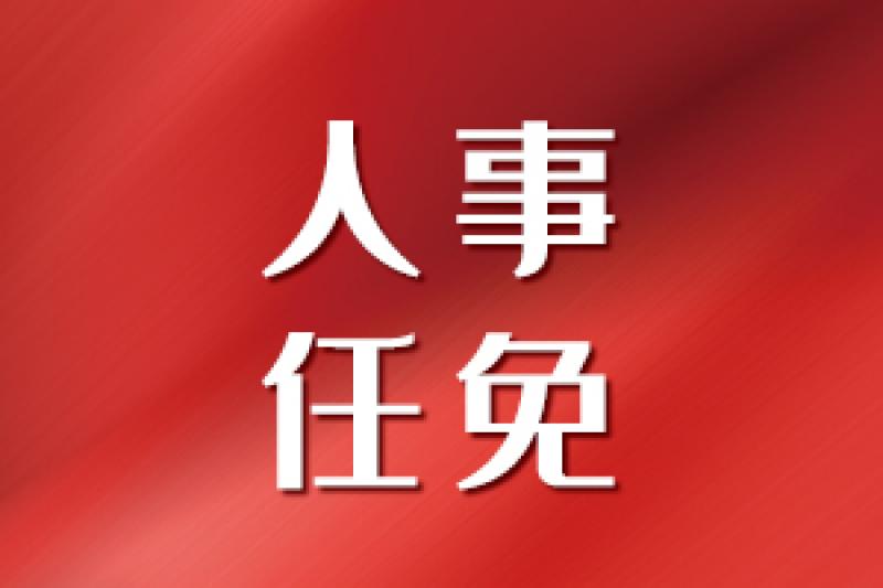 國家電投總經(jīng)理調(diào)整